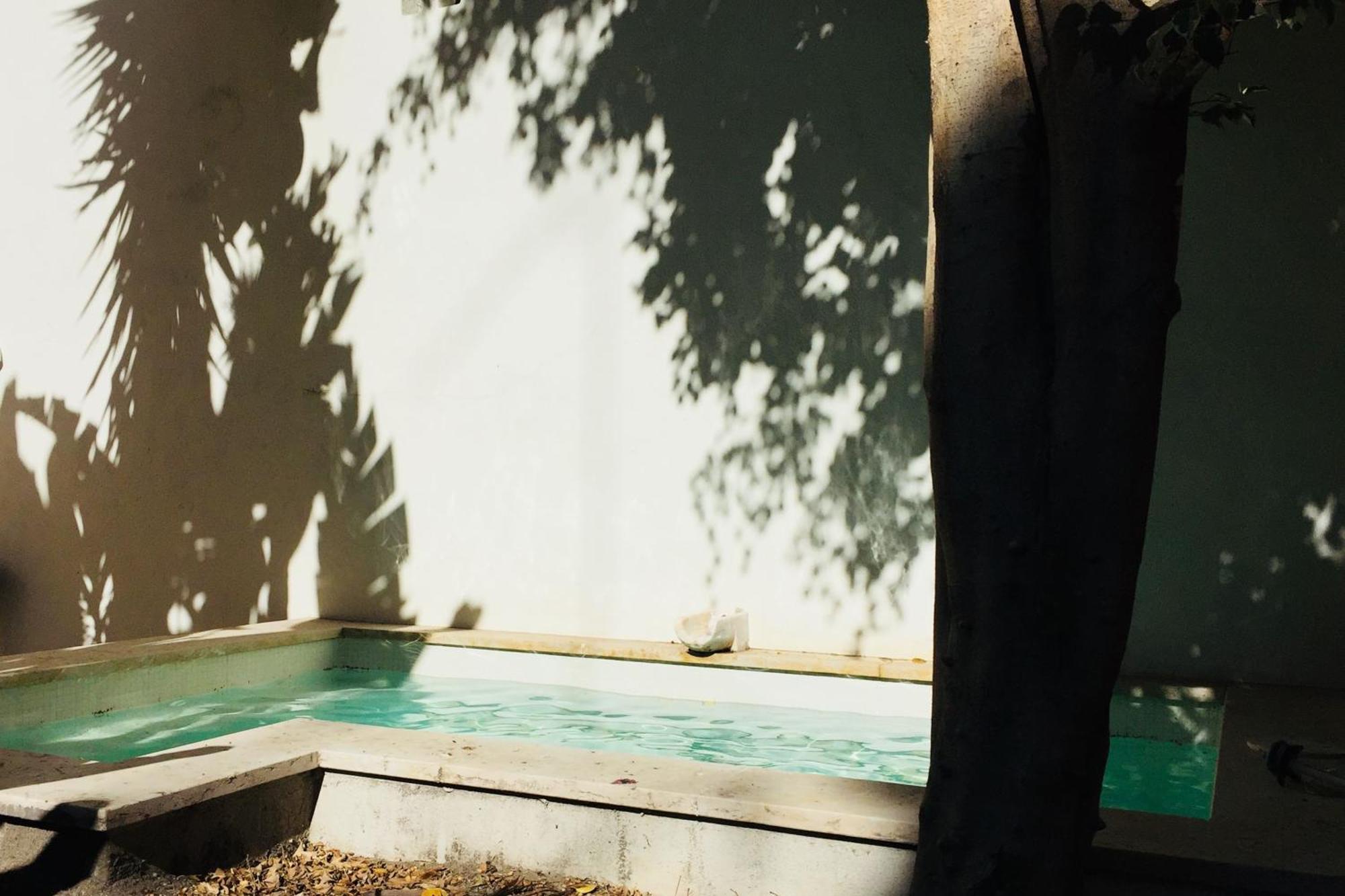 Apartment Pool & Garden In The Heart Of Lissabon